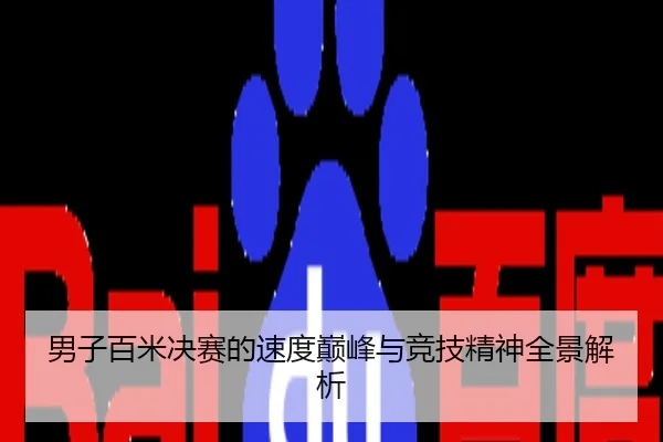 男子百米决赛的速度巅峰与竞技精神全景解析