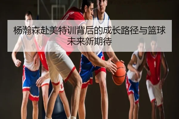 杨瀚森赴美特训背后的成长路径与篮球未来新期待