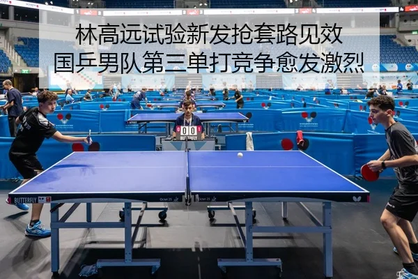 林高远试验新发抢套路见效 国乒男队第三单打竞争愈发激烈