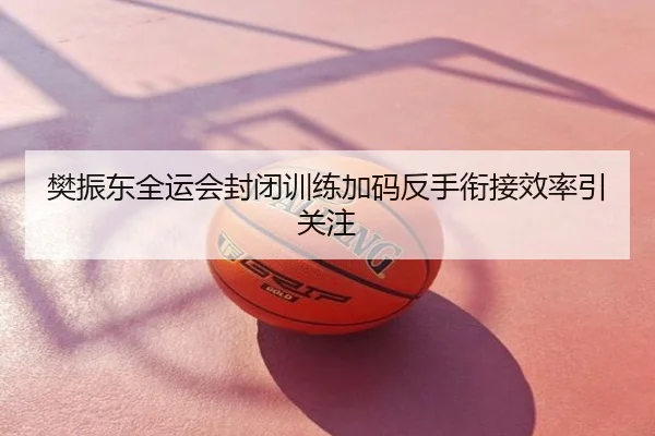 樊振东全运会封闭训练加码反手衔接效率引关注